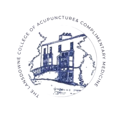 LOGO Wihtout background 1
